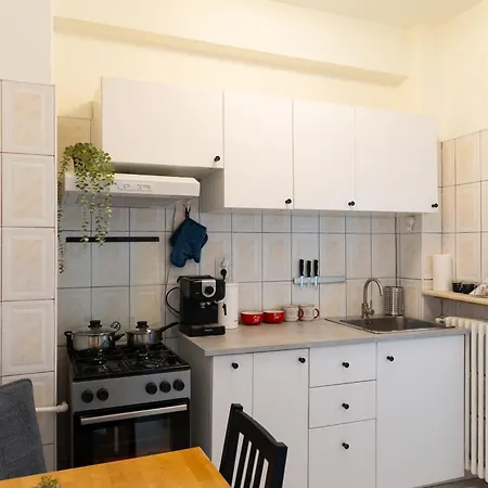 Apartament Unirii Old Delux With Terace