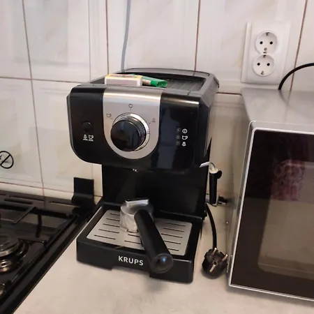 Unirii Old Delux With Terace Appartamento