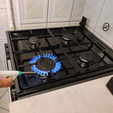 Unirii Old Delux With Terace Appartamento *