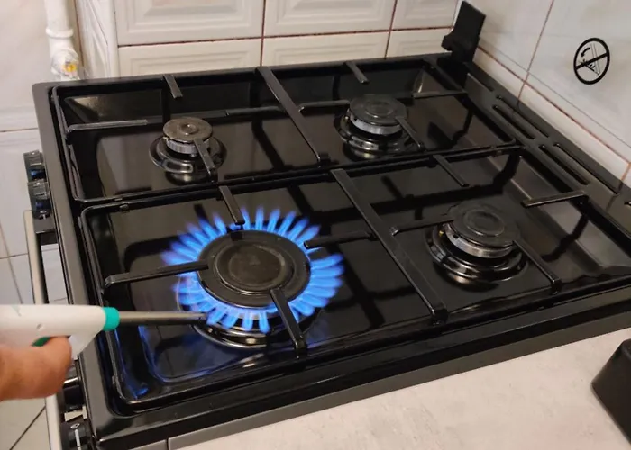 Unirii Old Delux With Terace Apartament *